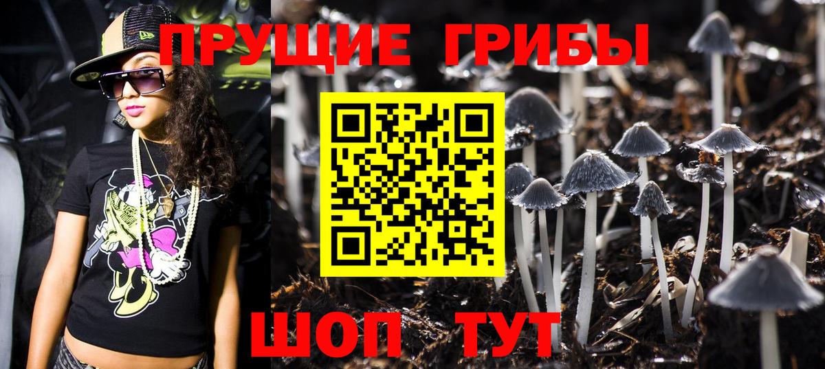 Галлюциногенные грибы ЛСД Артёмовский